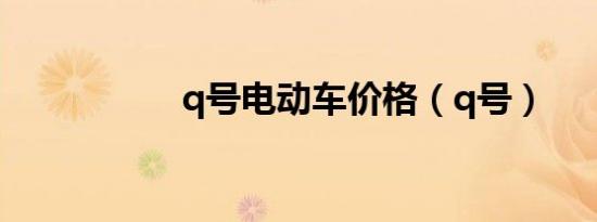 q号电动车价格（q号）