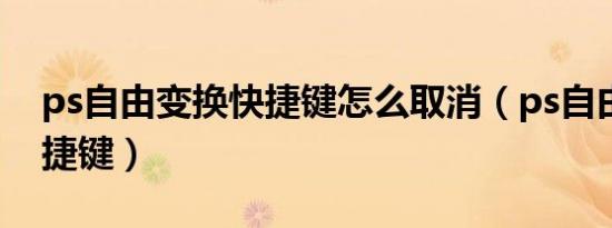 ps自由变换快捷键怎么取消（ps自由变换快捷键）