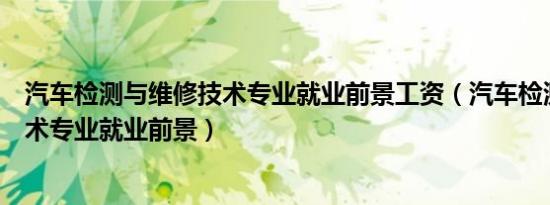 汽车检测与维修技术专业就业前景工资（汽车检测与维修技术专业就业前景）