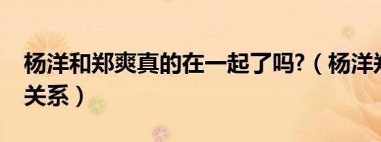 杨洋和郑爽真的在一起了吗?（杨洋郑爽真正关系）