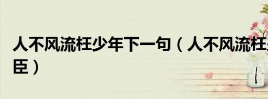 人不风流枉少年下一句（人不风流枉少年之奸臣）