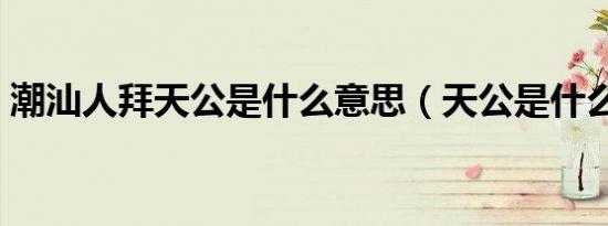 潮汕人拜天公是什么意思（天公是什么意思）