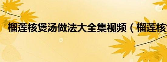 榴莲核煲汤做法大全集视频（榴莲核煲汤）