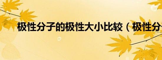 极性分子的极性大小比较（极性分子）