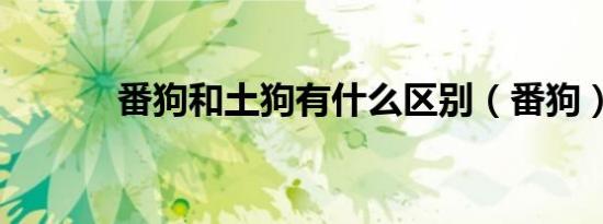番狗和土狗有什么区别（番狗）