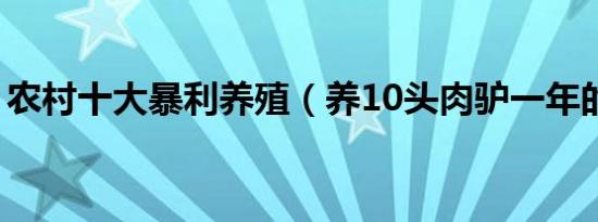农村十大暴利养殖（养10头肉驴一年的利润）
