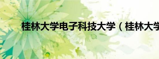 桂林大学电子科技大学（桂林大学）