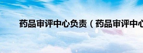 药品审评中心负责（药品审评中心）