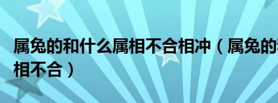 属兔的和什么属相不合相冲（属兔的和什么属相不合）