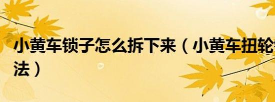 小黄车锁子怎么拆下来（小黄车扭轮锁破解方法）
