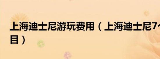 上海迪士尼游玩费用（上海迪士尼7个收费项目）