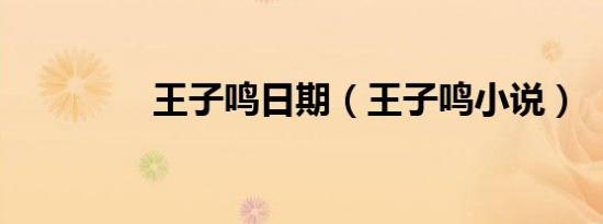 王子鸣日期（王子鸣小说）