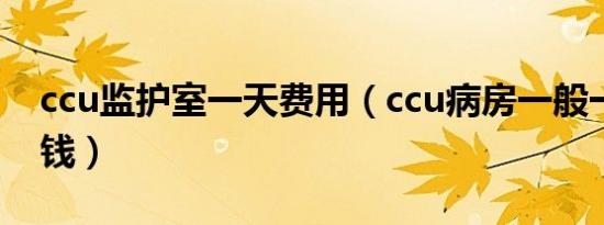 ccu监护室一天费用（ccu病房一般一天多少钱）