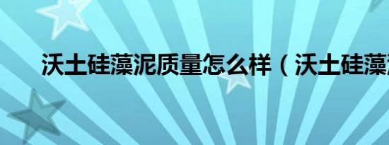 沃土硅藻泥质量怎么样（沃土硅藻泥）