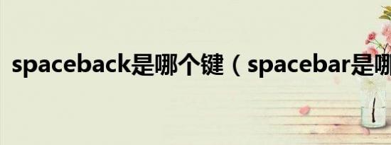 spaceback是哪个键（spacebar是哪个键）