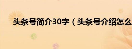 头条号简介30字（头条号介绍怎么写）