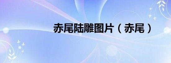 赤尾陆雕图片（赤尾）