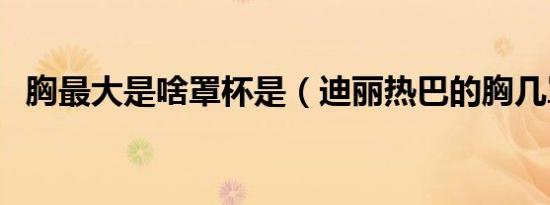 胸最大是啥罩杯是（迪丽热巴的胸几罩杯）