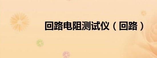 回路电阻测试仪（回路）