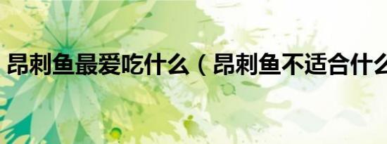 昂刺鱼最爱吃什么（昂刺鱼不适合什么人吃）