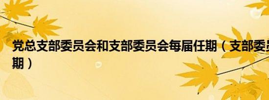 党总支部委员会和支部委员会每届任期（支部委员会每届任期）