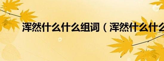 浑然什么什么组词（浑然什么什么）