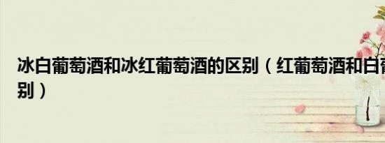 冰白葡萄酒和冰红葡萄酒的区别（红葡萄酒和白葡萄酒的区别）