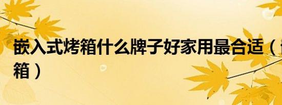 嵌入式烤箱什么牌子好家用最合适（嵌入式烤箱）