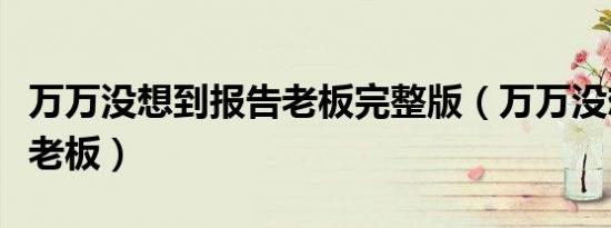万万没想到报告老板完整版（万万没想到报告老板）