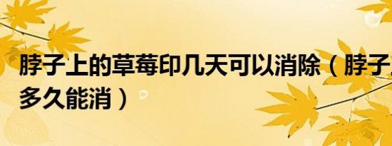 脖子上的草莓印几天可以消除（脖子上草莓印多久能消）