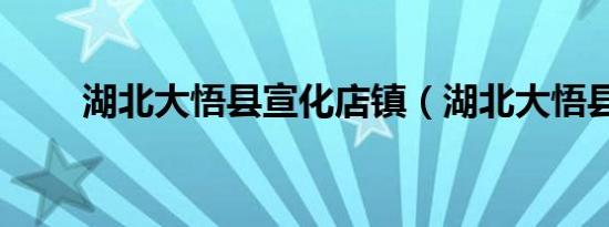 湖北大悟县宣化店镇（湖北大悟县）