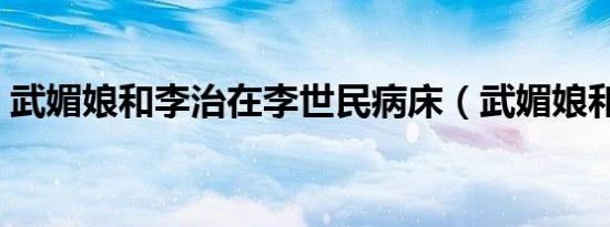 武媚娘和李治在李世民病床（武媚娘和李治）