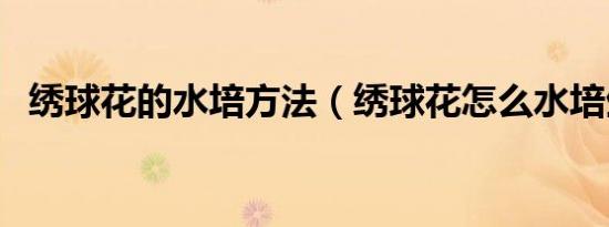 绣球花的水培方法（绣球花怎么水培生根）