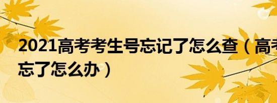 2021高考考生号忘记了怎么查（高考考生号忘了怎么办）