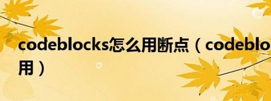 codeblocks怎么用断点（codeblocks怎么用）
