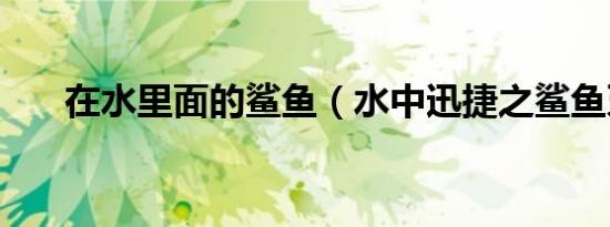 在水里面的鲨鱼（水中迅捷之鲨鱼牙）