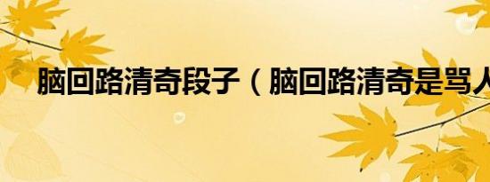 脑回路清奇段子（脑回路清奇是骂人吗）