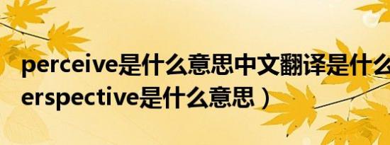 perceive是什么意思中文翻译是什么意思（perspective是什么意思）