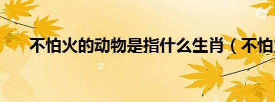 不怕火的动物是指什么生肖（不怕火）
