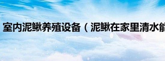 室内泥鳅养殖设备（泥鳅在家里清水能养吗）