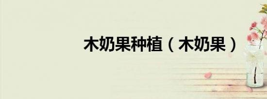 木奶果种植（木奶果）
