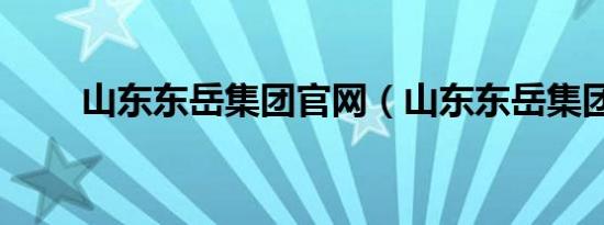 山东东岳集团官网（山东东岳集团）