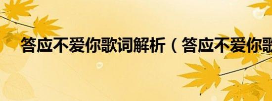 答应不爱你歌词解析（答应不爱你歌词）