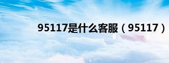 95117是什么客服（95117）
