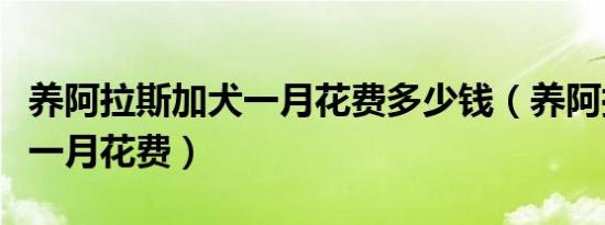 养阿拉斯加犬一月花费多少钱（养阿拉斯加犬一月花费）