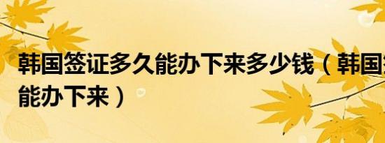 韩国签证多久能办下来多少钱（韩国签证多久能办下来）