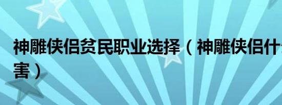 神雕侠侣贫民职业选择（神雕侠侣什么职业厉害）