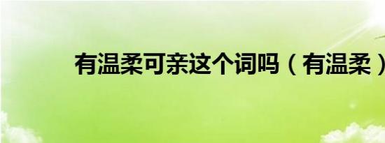 有温柔可亲这个词吗（有温柔）