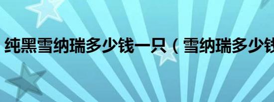 纯黑雪纳瑞多少钱一只（雪纳瑞多少钱一只）