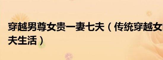 穿越男尊女贵一妻七夫（传统穿越女的一妻多夫生活）